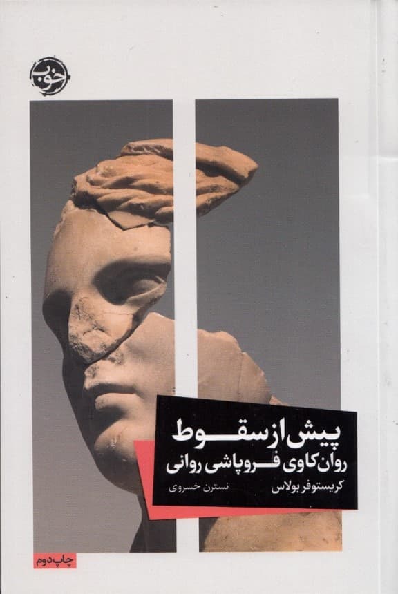 پیش از سقوط (روانکاوی فروپاشی روانی)