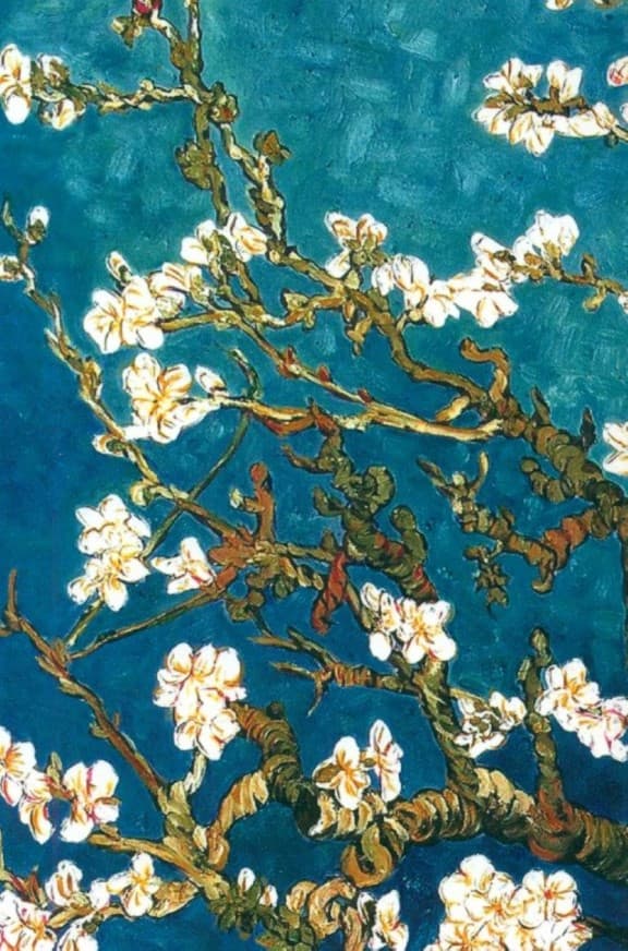 پلنر روزانه بلوار الیزابت 15 (کد 668)