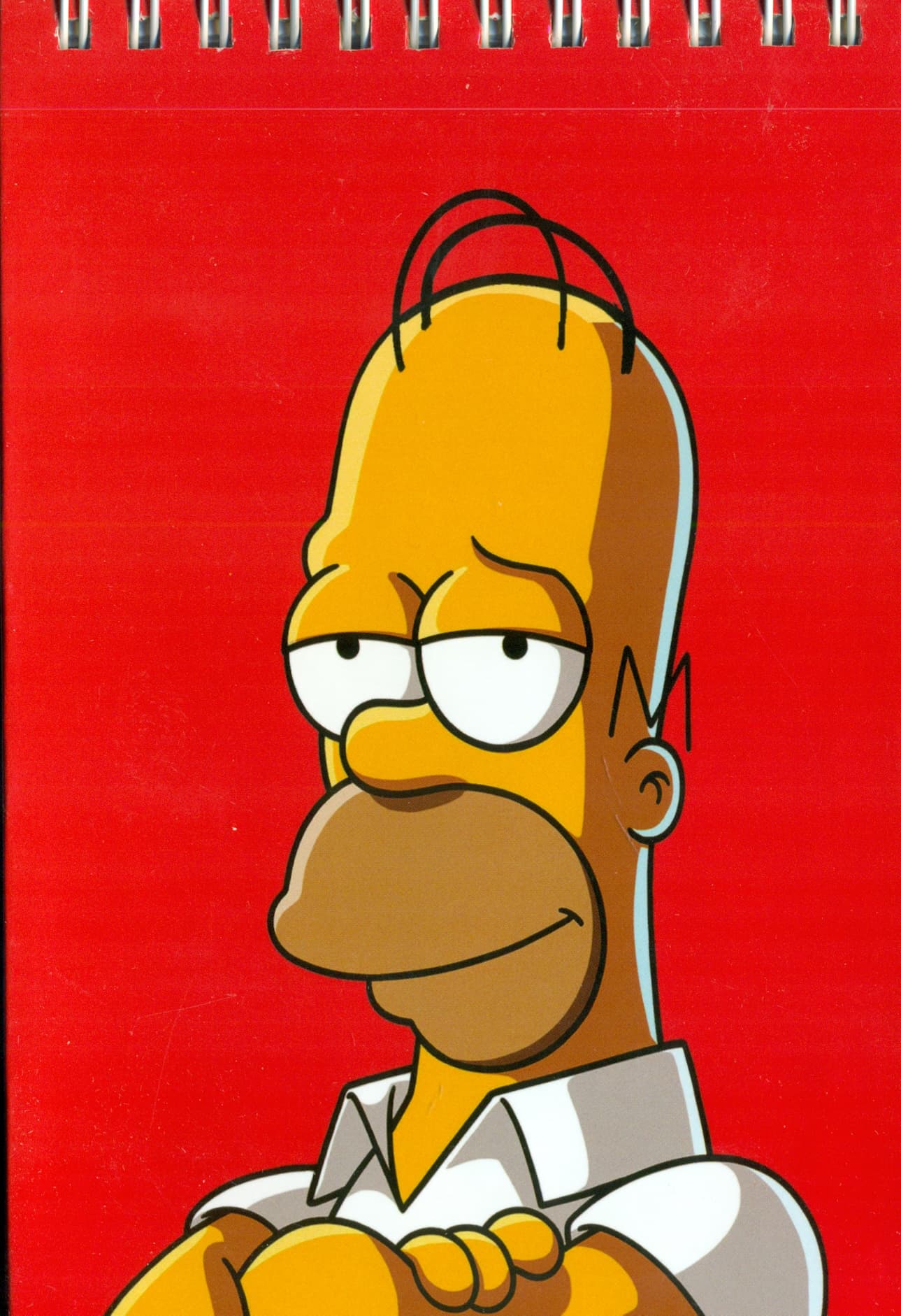 دفترچه یادداشت خط دار (سیمپسون ها)،(کد 246)،(سیمی)