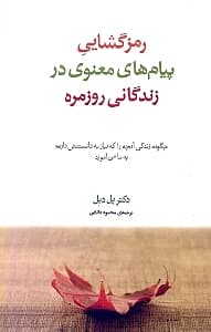 رمزگشایی پیام‌های معنوی در زندگانی روزمره (چگونه زندگی آنچه را که نیاز به دانستنش داریم به ما می‌آموزد)