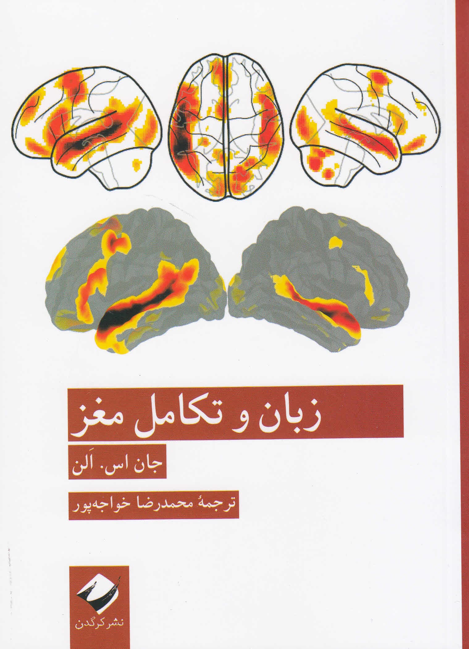 زبان و تکامل مغز