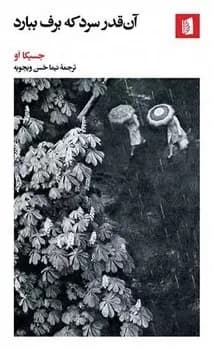 آن‌قدر سرد که برف ببارد