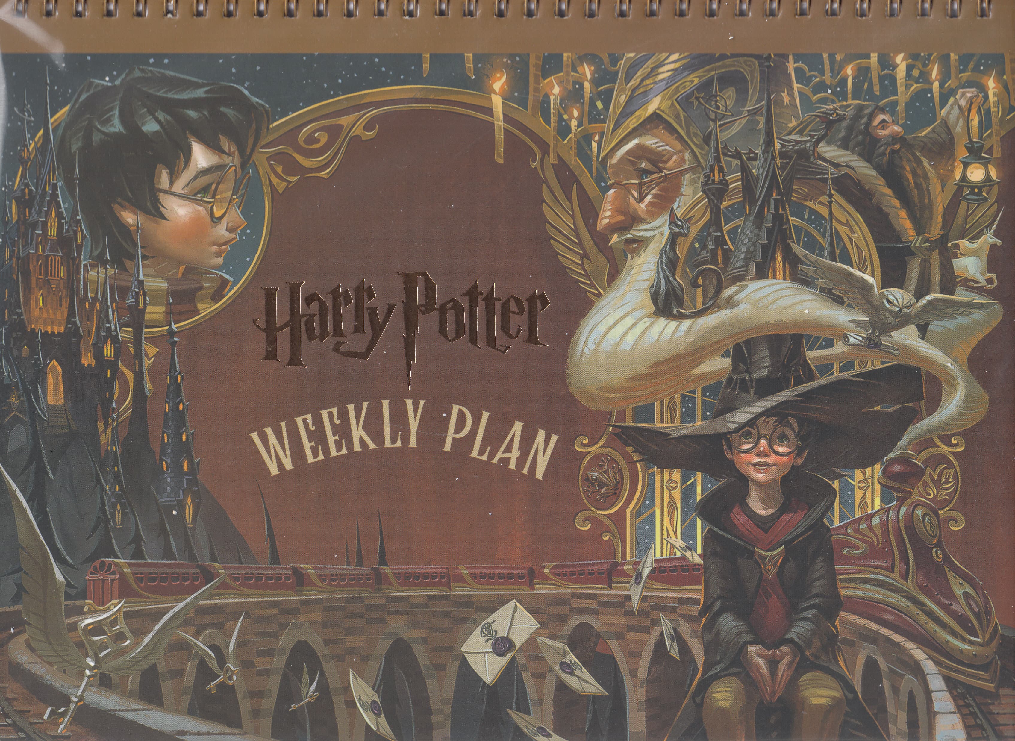 دفتر برنامه ریزی (پلنر هفتگی هری پاتر،کد 636)،(سیمی)