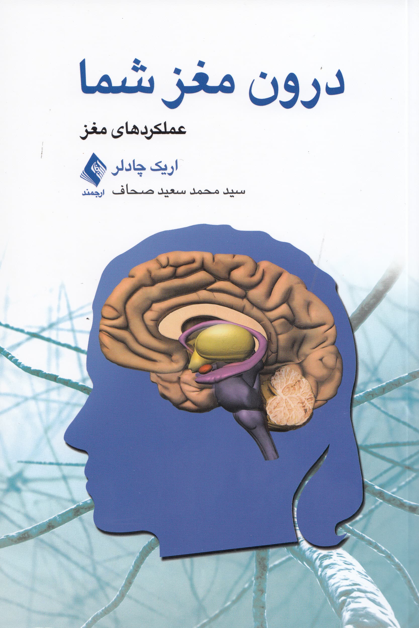 درون مغز شما (عملکردهای مغز)