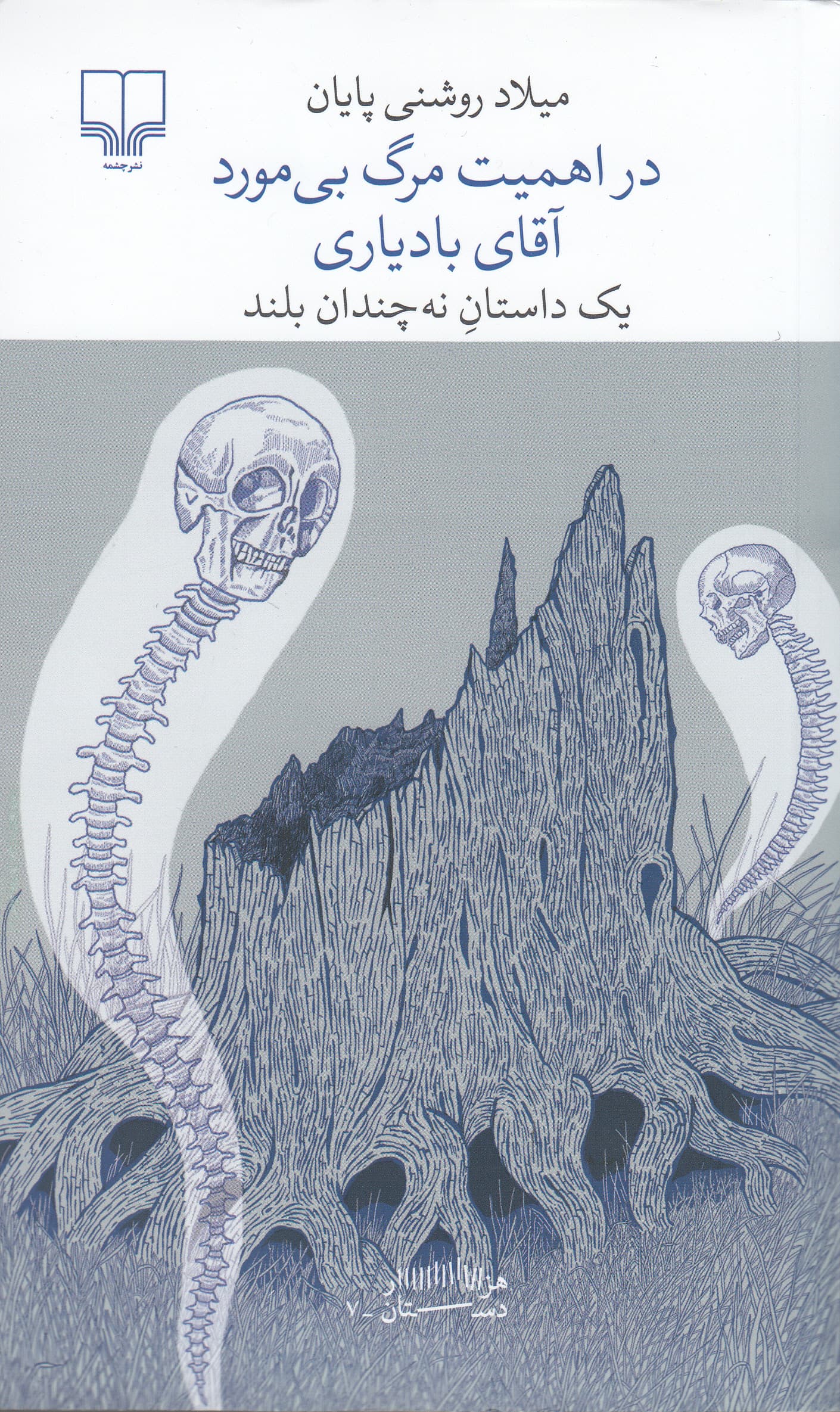 در اهمیت مرگ بی‌مورد آقای بادیاری (1داستان نه‌چندان بلند)