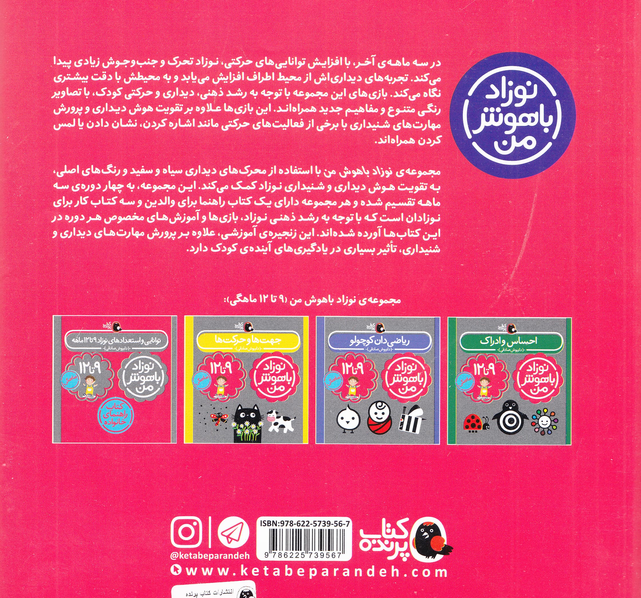 مجموعه نوزاد باهوش من (مهارتهای یادگیری نوزاد 9 تا 12 ماهه)