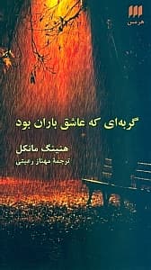 گربه‌ای که عاشق باران بود
