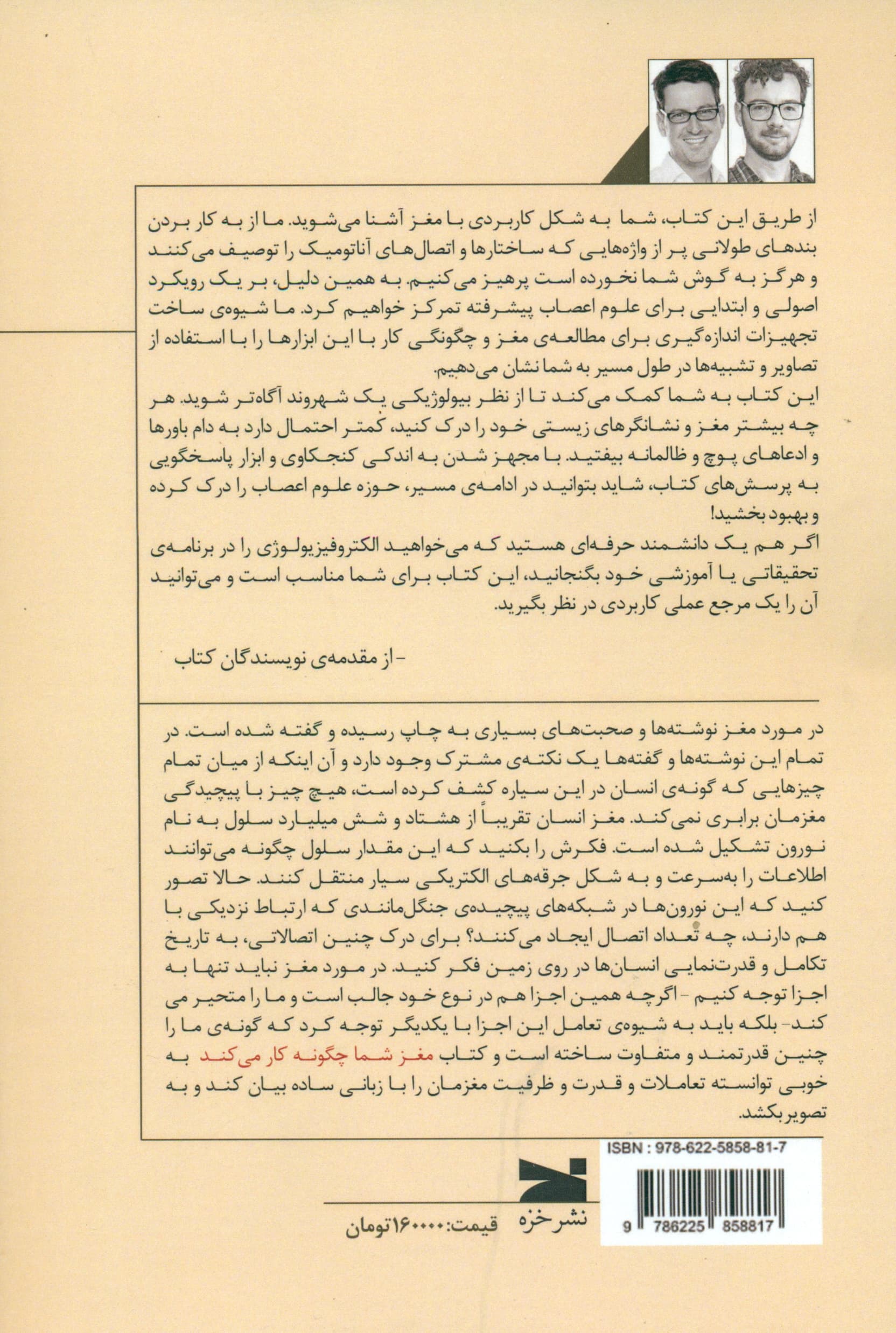 مغز شما چگونه کار می‌کند (آزمایش‌های علوم اعصاب برای همه)