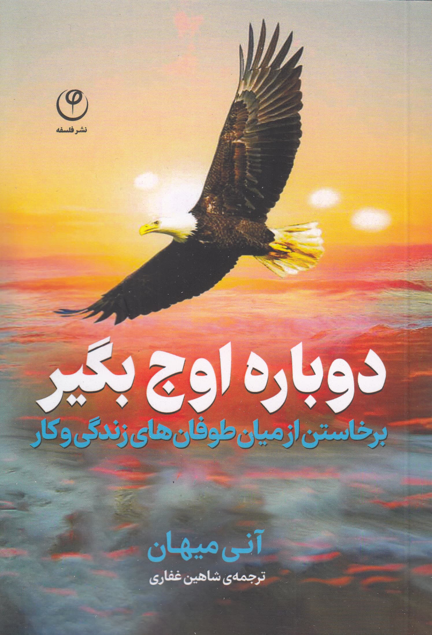 دوباره اوج بگیر (برخاستن از میان طوفان‌های زندگی و کار)