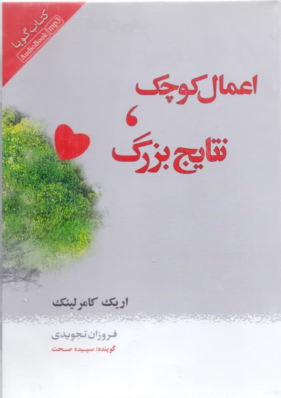 اعمال کوچک نتایج بزرگ (کتاب گویا)