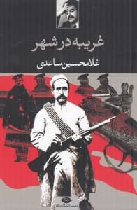 غریبه در شهر