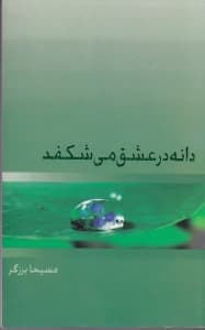 دانه در عشق می‌شکفد