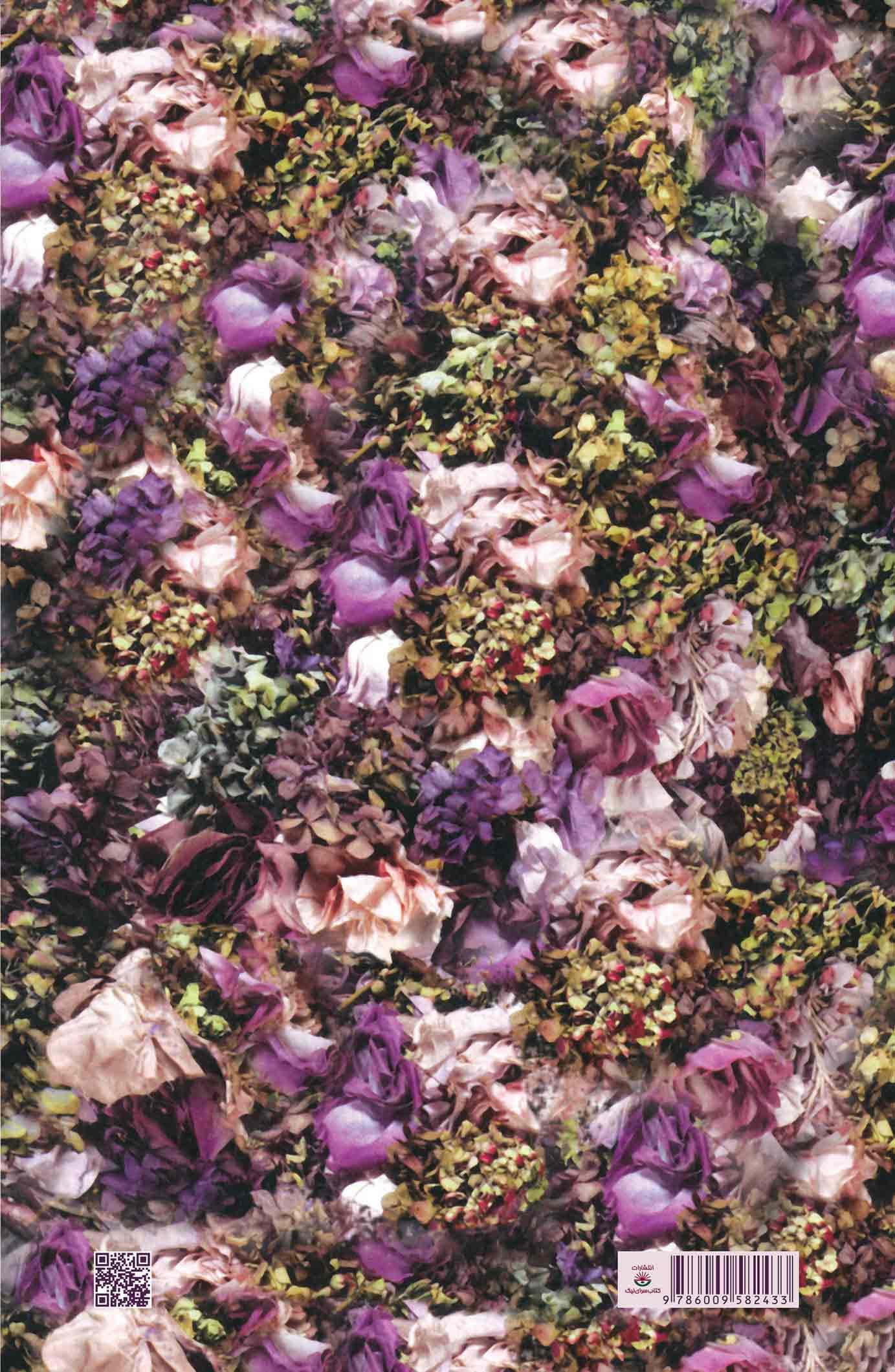 اسب سفیدم 1 غزل بود (دفتر شعر) گزیده اشعار