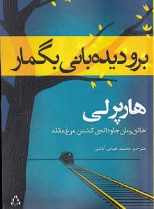 برو دیده‌بانی بگمار