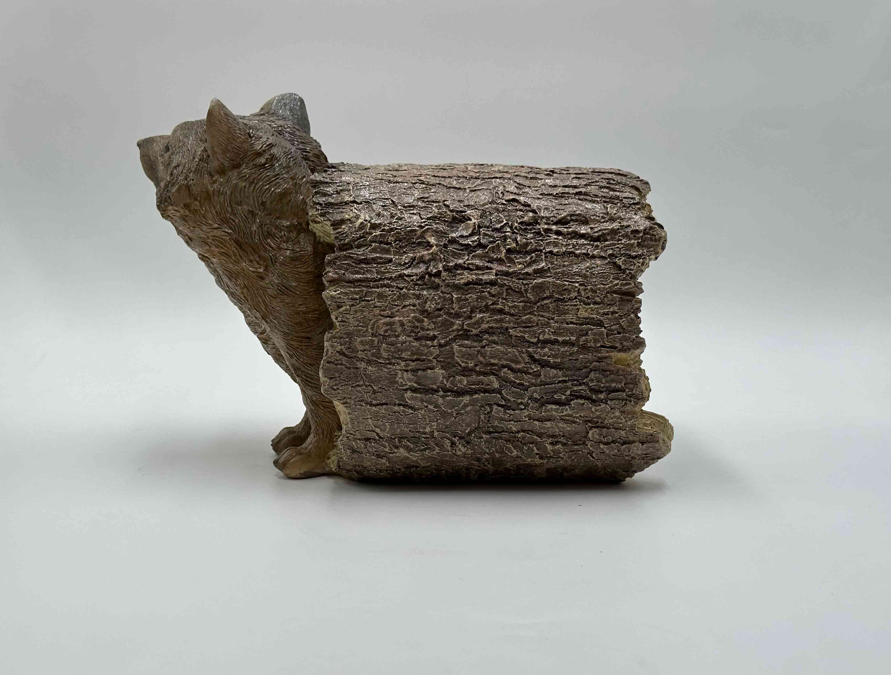 تندیس راکون