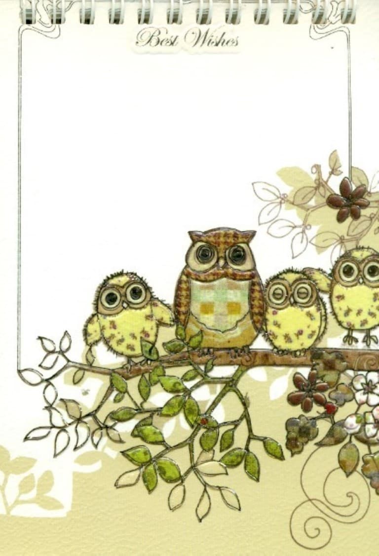 دفترچه یادداشت خط‌دار کارن 107 (سیمی)