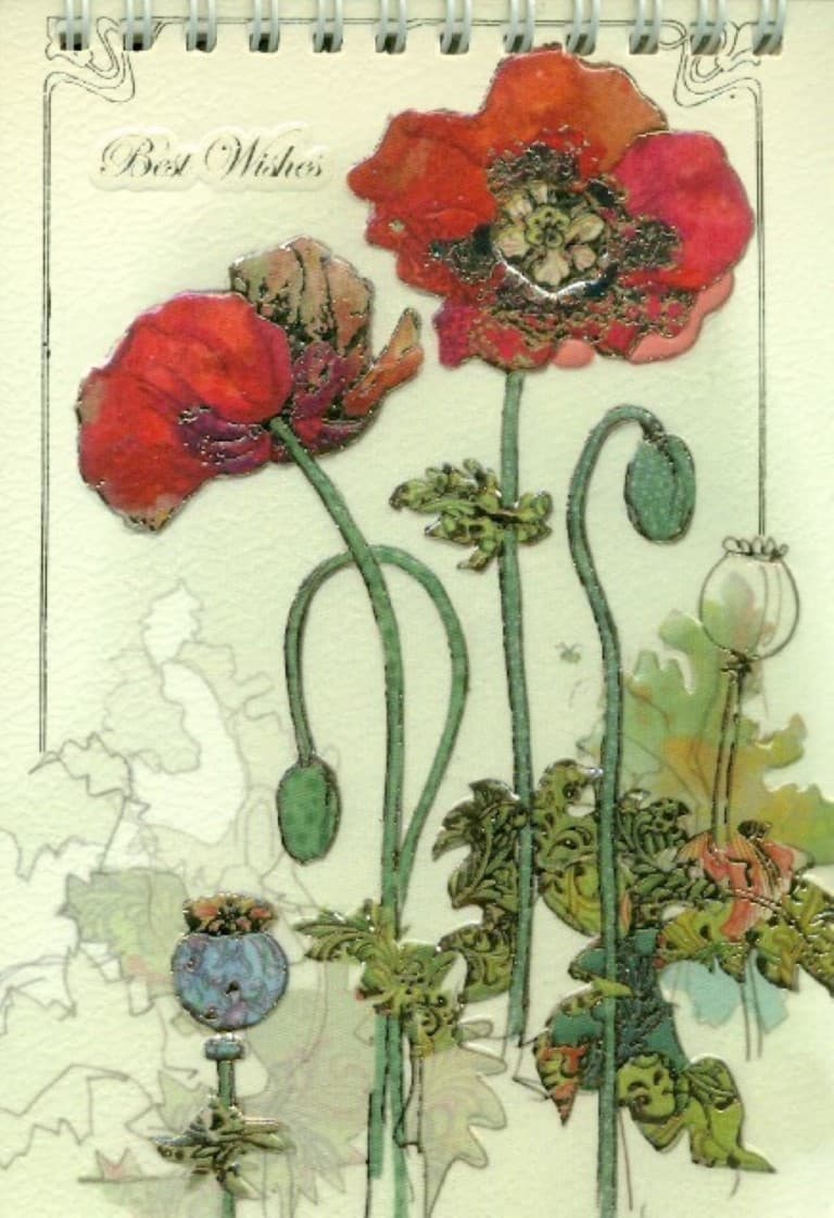 دفترچه یادداشت خط‌دار کارن 102 (سیمی)