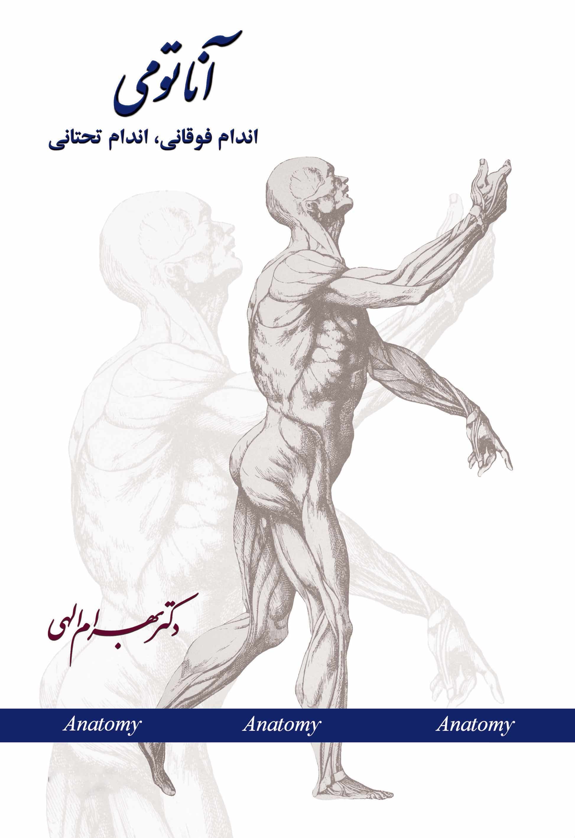 آناتومی (اندام فوقانی اندام تحتانی)