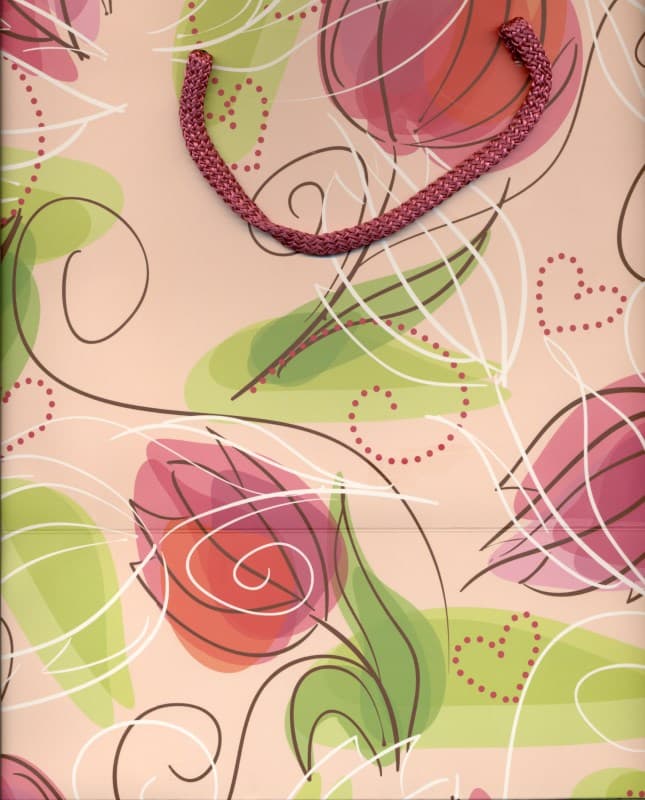 پاکت هدیه نیکی 08 (بزرگ)