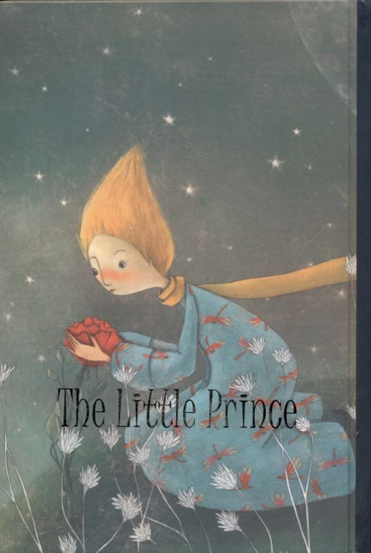 دفترچه یادداشت شازده‌کوچولو 2 (پالتویی) کد 5905