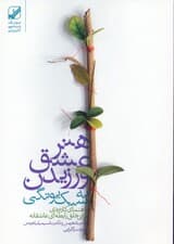 هنر عشق ورزیدن به سبک یونگی (هنر ارتباط راهنمایی عملی برای خلق رابطه‌های عاشقانه) 