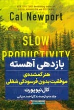 بازدهی آهسته (هنر گمشده موفقیت بدون فرسودگی شغلی)