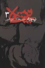 نیچه 3