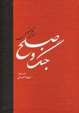 جنگ و صلح (2جلدی)