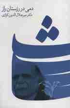 دمی در رزستان راز