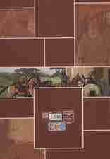 مجموعه پهلوانان (قصه ای از زندگی پهلوان مازار:مرد بیدار)،(کمیک استریپ)