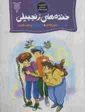 خنده های زنجبیلی (مجموعه داستان طنز نوجوان)