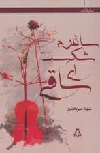 ساغرم شکست ای ساقی