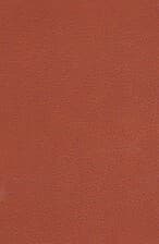 آذرمیدخت (چرم،لب طلایی)