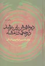 درخشش ابن رشد در حکمت مشاء
