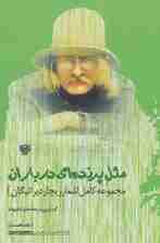 مثل پرنده ای در باران:مجموعه کامل اشعار ریچارد براتیگان (شعر جهان63)