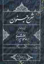 شرح جنون (تفسیر موضوعی دیوان خواجه شمس الدین محمد حافظ شیرازی)