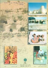 فرهنگ گویش دشتستانی (گویش سرزمین دلیران)