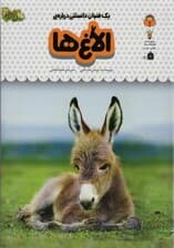 یک فنجان دانستنی درباره ی الاغ ها (دانش نامه ی کودکان15)،(گلاسه)