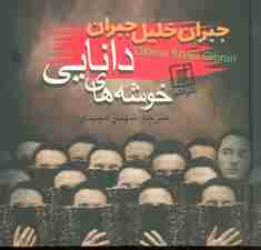 خوشه های دانایی