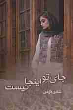 جای تو اینجا نیست