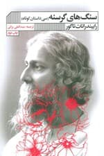 سنگ های گرسنه (سی داستان کوتاه)