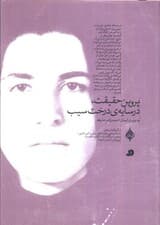 پروین حقیقت،در سایه ی درخت سیب (به روایت ایمان احمدزاده خلیفه)