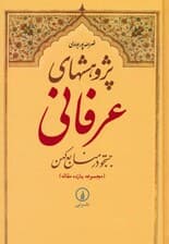 پژوهشهای عرفانی:جستجو در منابع کهن (مجموعه یازده مقاله)