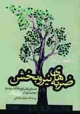 ضربه های نیروبخش (جستاری تطبیقی درباره آداب و رسوم تجدید توان در ایران و ژاپن)