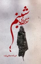 نقطه ی شبنم