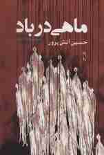 ماهی در باد (مجموعه داستان)