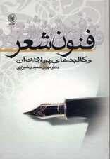 فنون شعر و کالبدهای پولادین آن