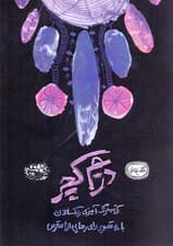 دریم کچر (کتاب رنگ‌آمیزی بزرگ‌سالان)