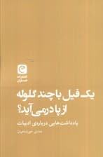 یک فیل با چند گلوله از پا در می آید؟ (یادداشت هایی درباره ادبیات)