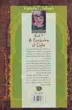 سه گانه سایه های جادو (کتاب سوم:نبرد سایه و نور 2)